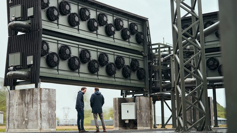 The largest global carbon-sucking plant is beginning to make a small dent in emissions
