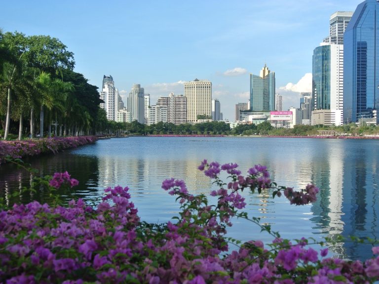Benchakiti Park has become a landmark for nature lovers in central Bangkok