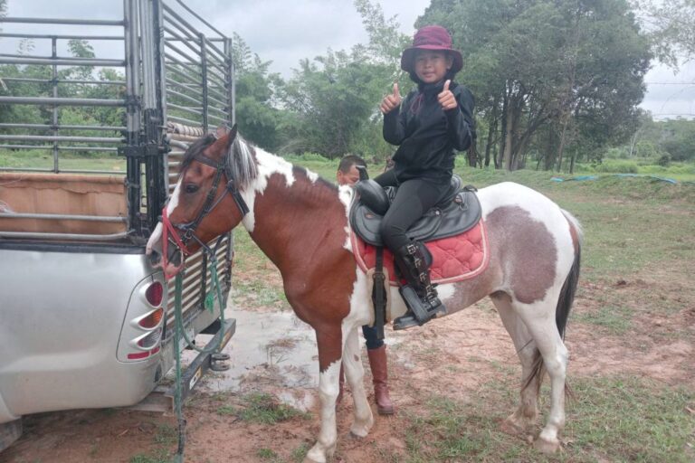 Horse Therapy Horse Trail in Kalasin Province Gains Popularity, Promotes Mental and Physical Well-being
