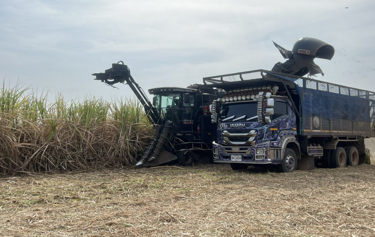 Chaiyaphum Sugarcane Farmers Adopt New Technology to Cut PM2.5 Pollution