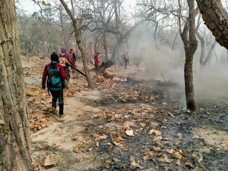 Myanmar National Arrested for Vi
