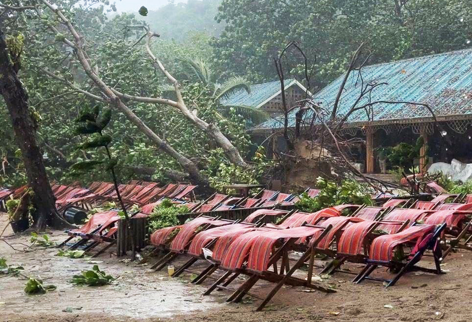 Tourist Killed by Falling Tree During Phuket Storm
