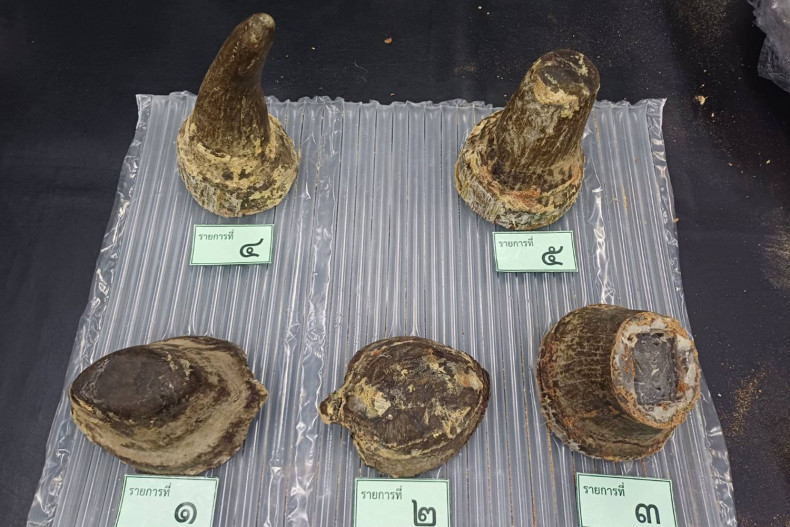 Vietnamese Arrested at Suvarnabhumi Smuggling Rhino Horn
